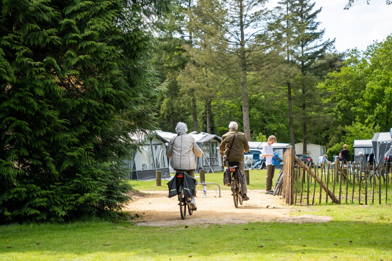 Vakantiepark in de natuur in Doorn